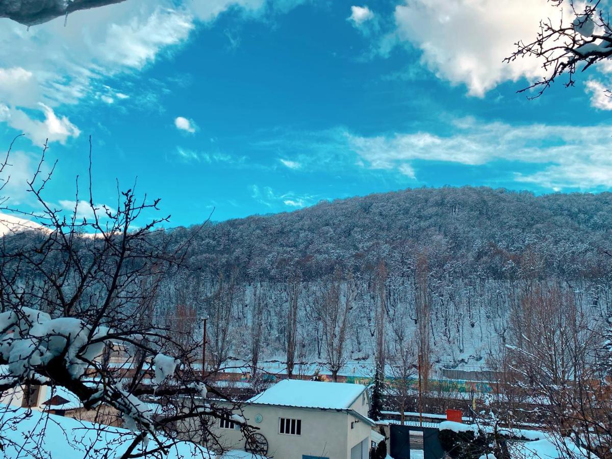 Green Garden B&B Dilijan Ngoại thất bức ảnh