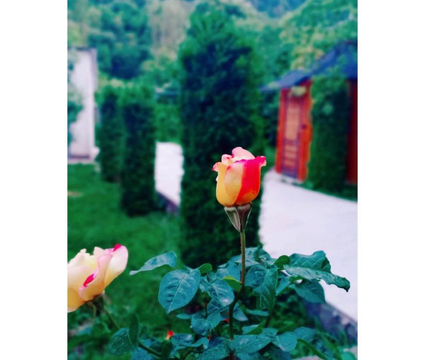 Green Garden B&B Dilijan Ngoại thất bức ảnh