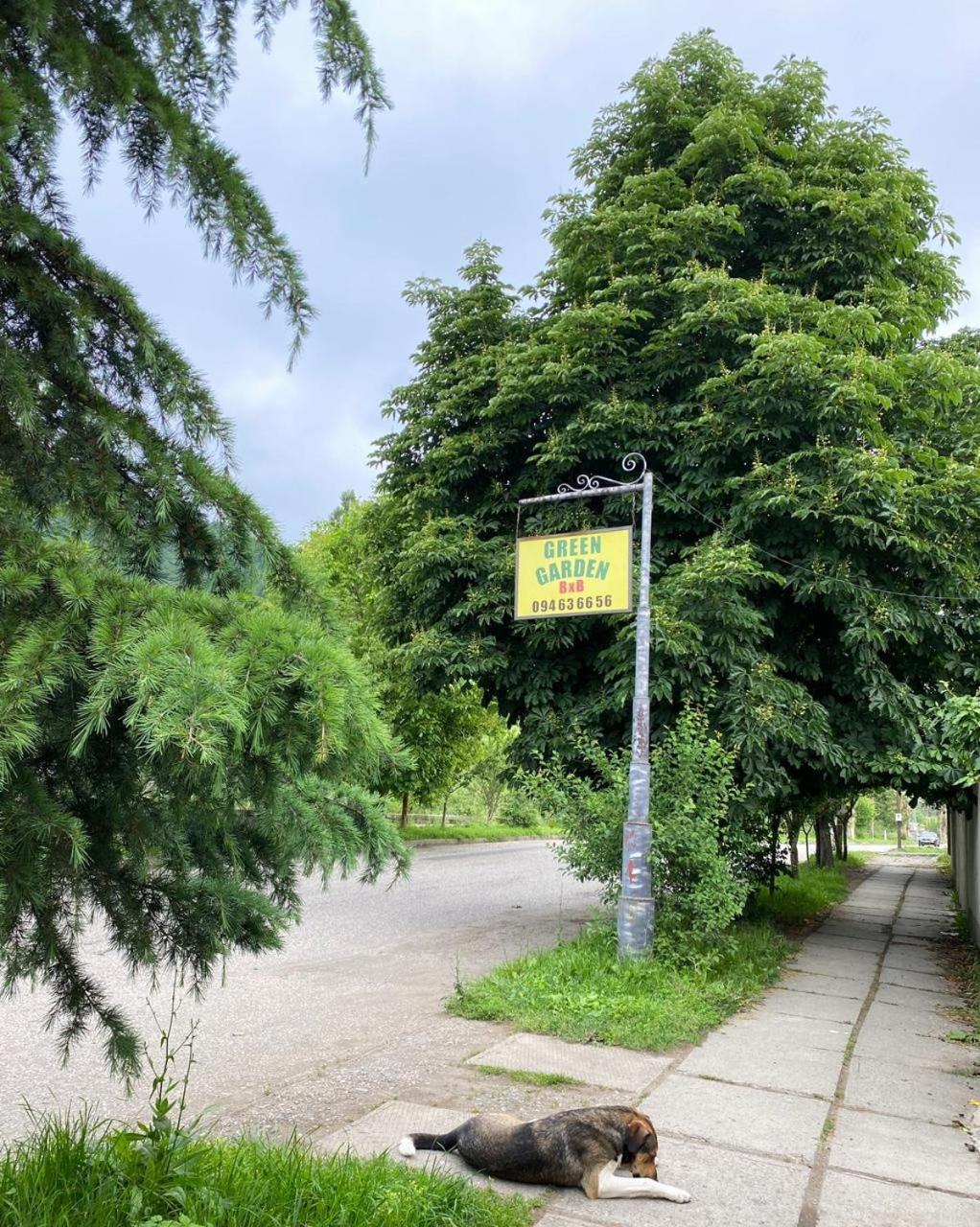 Green Garden B&B Dilijan Ngoại thất bức ảnh